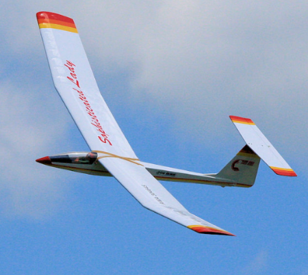 Picture for category RC Gliders