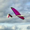 Picture of Lightnin Bug DLG Glider Kit